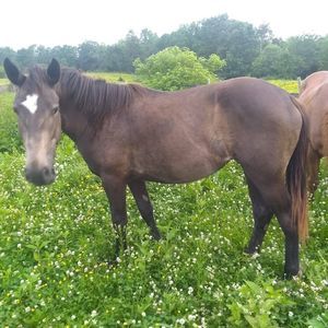 Meet your Posher, Clinton